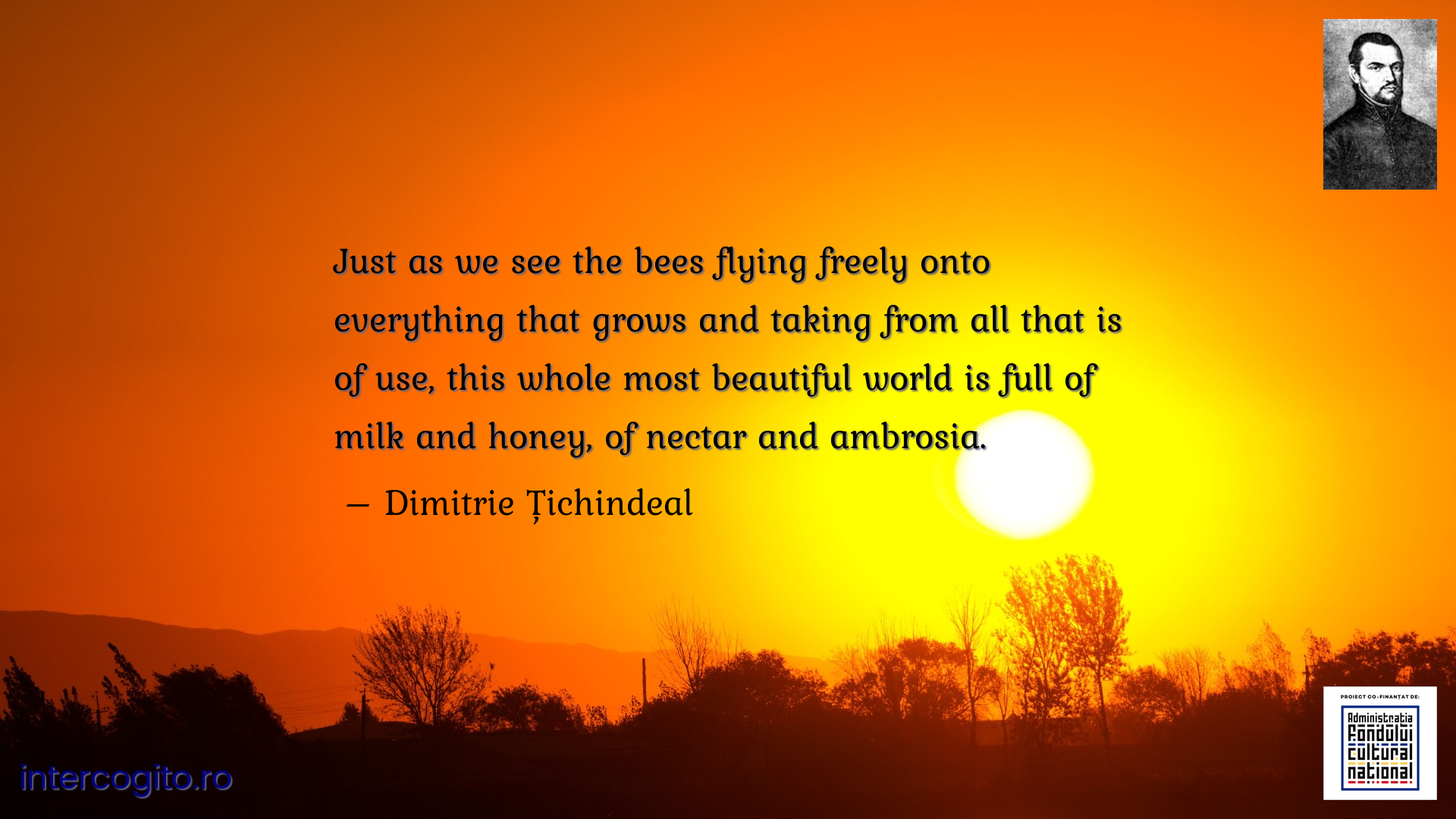 Just as we see the bees flying freely onto everything that grows and taking from all that is of use, this whole most beautiful world is full of milk and honey, of nectar and ambrosia.