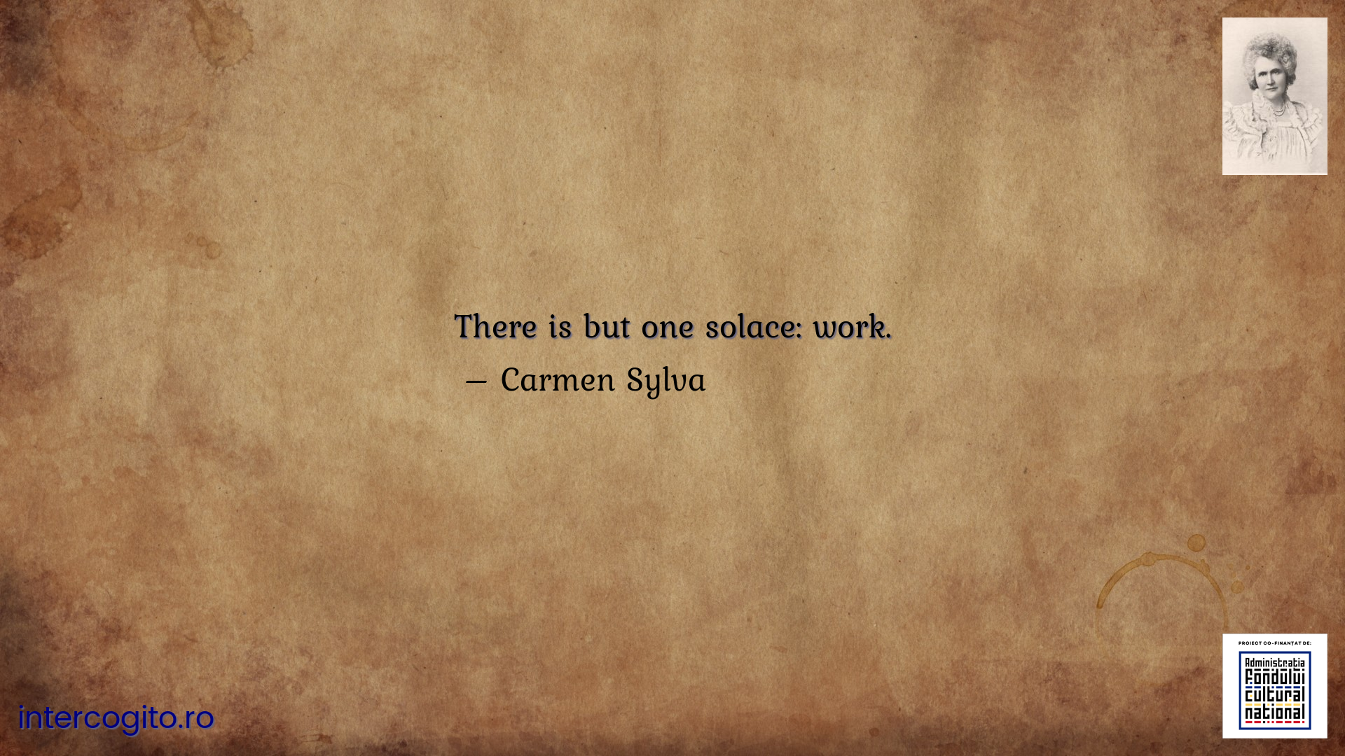 There is but one solace: work.