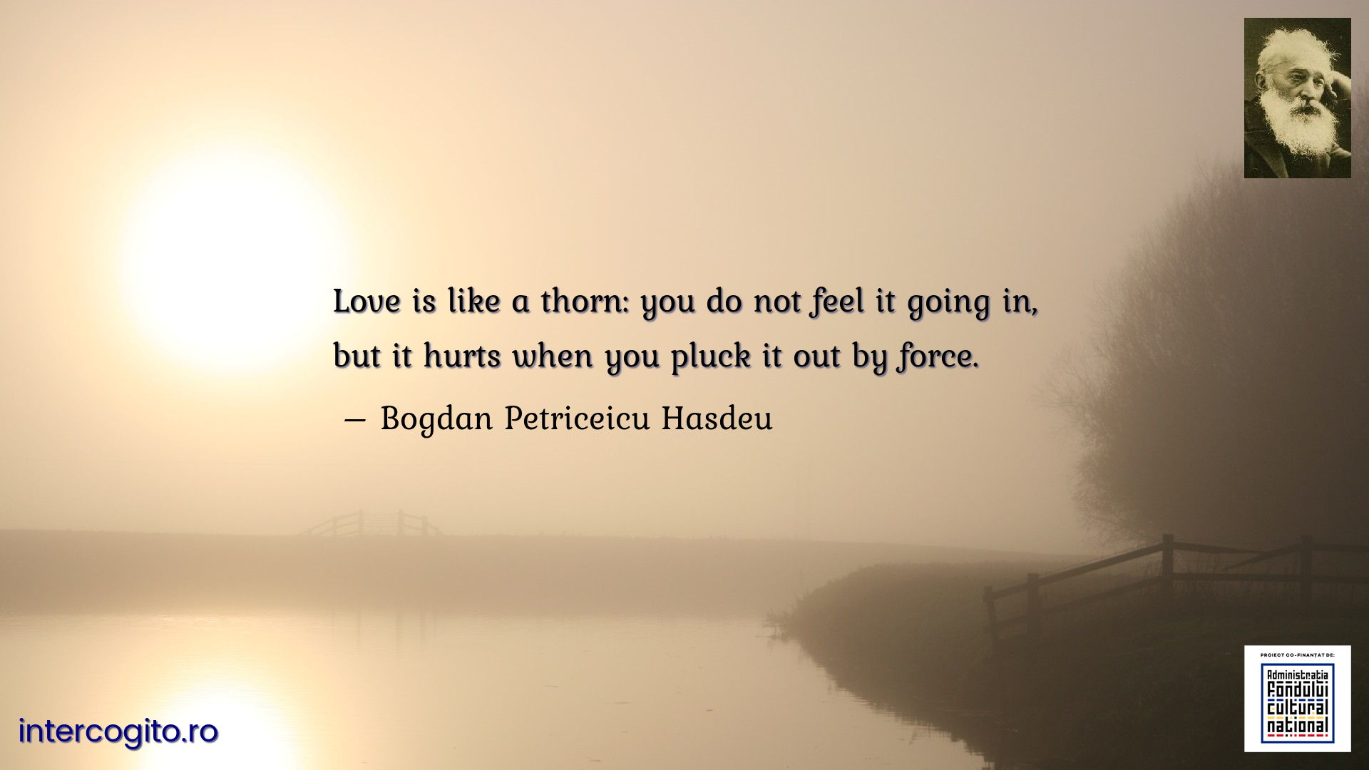 Love is like a thorn: you do not feel it going in, but it hurts when you pluck it out by force.