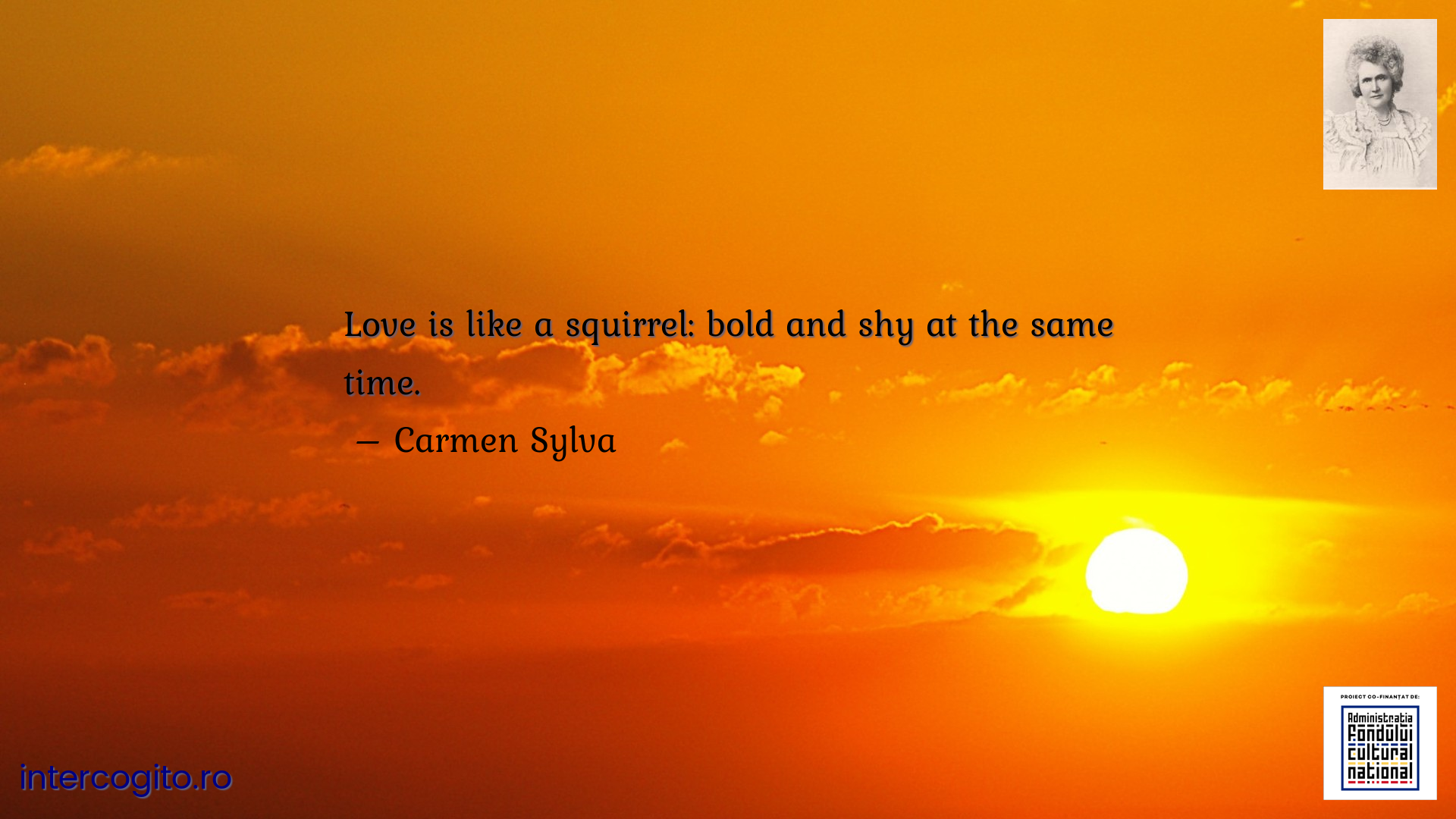 Love is like a squirrel: bold and shy at the same time.