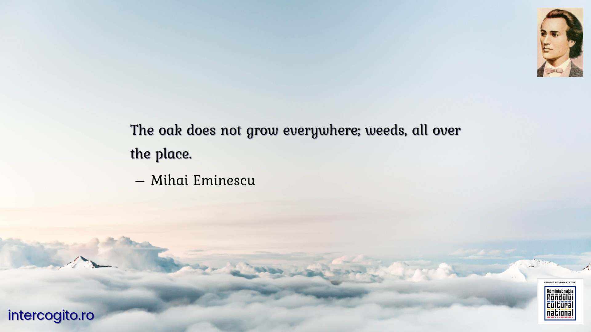 The oak does not grow everywhere; weeds, all over the place.