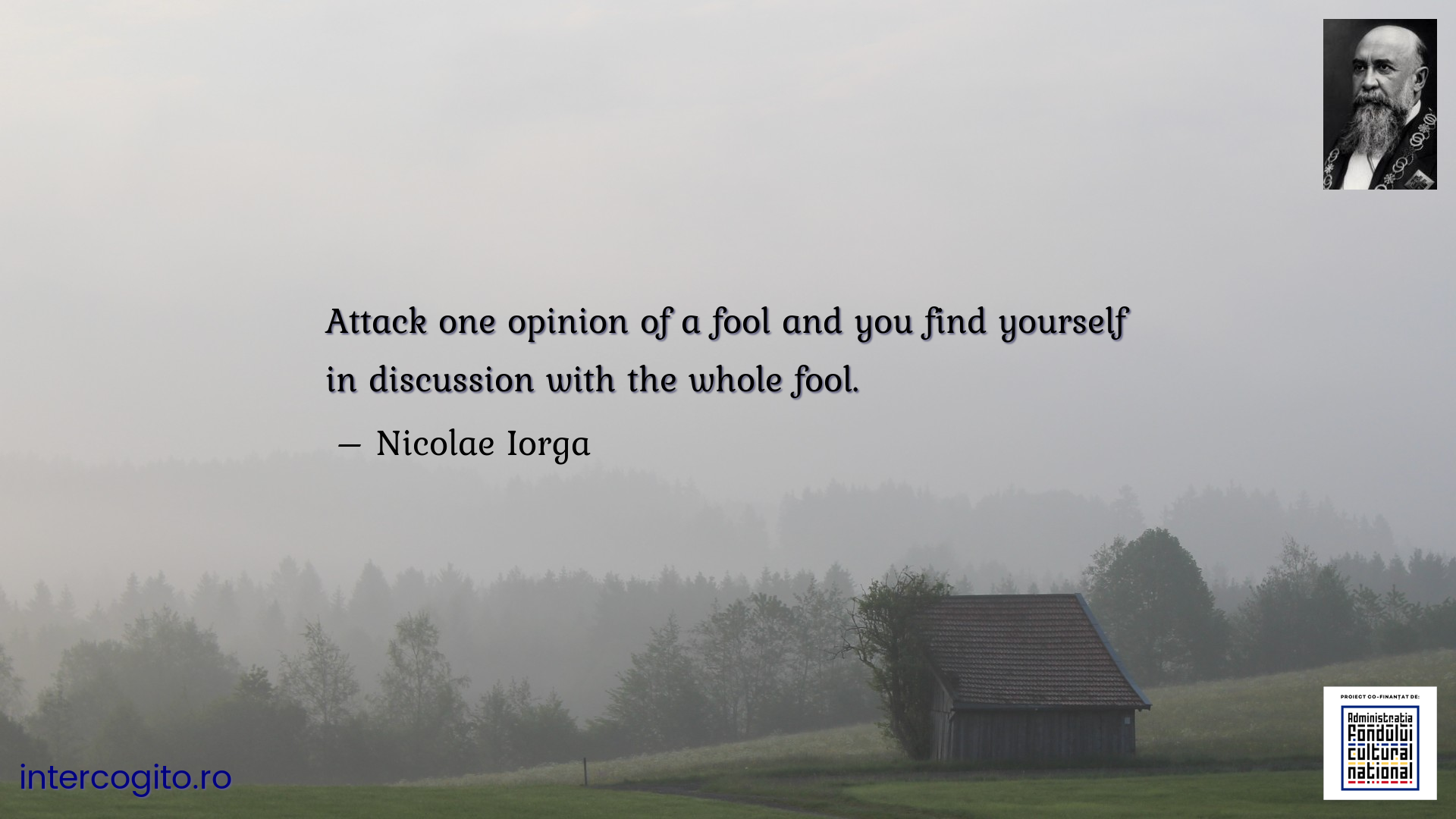Attack one opinion of a fool and you find yourself in discussion with the whole fool.