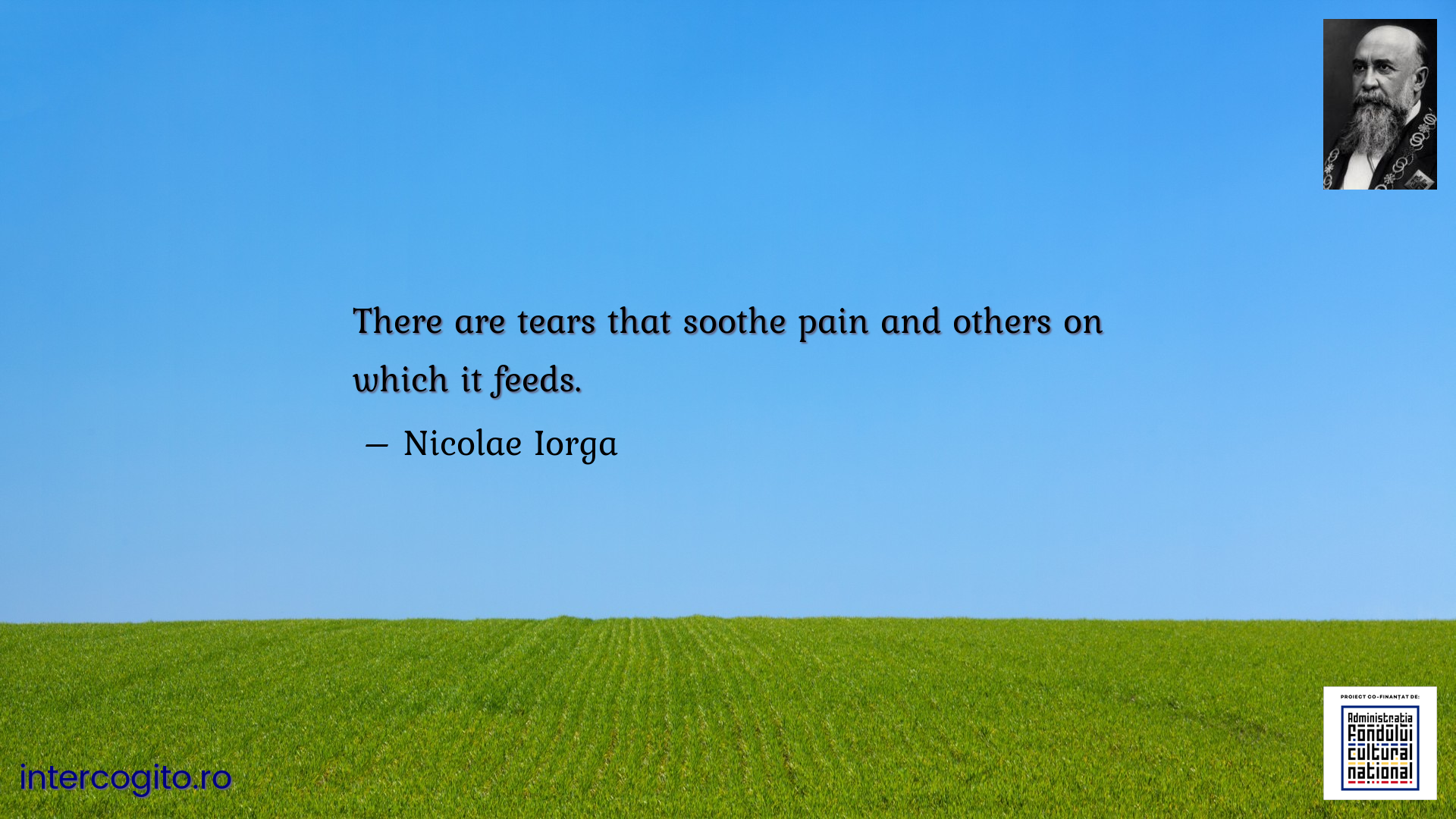 There are tears that soothe pain and others on which it feeds.