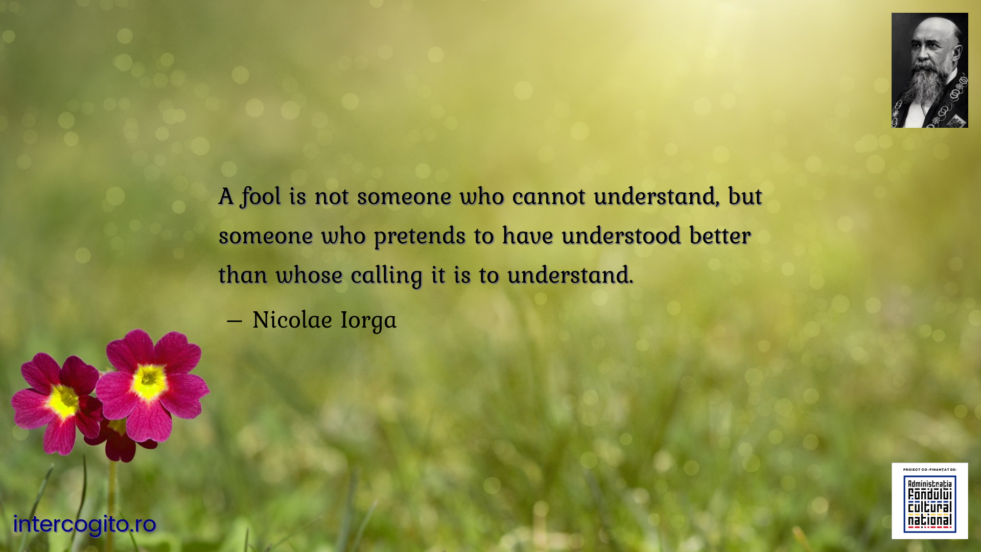 A fool is not someone who cannot understand, but someone who pretends to have understood better than whose calling it is to understand.