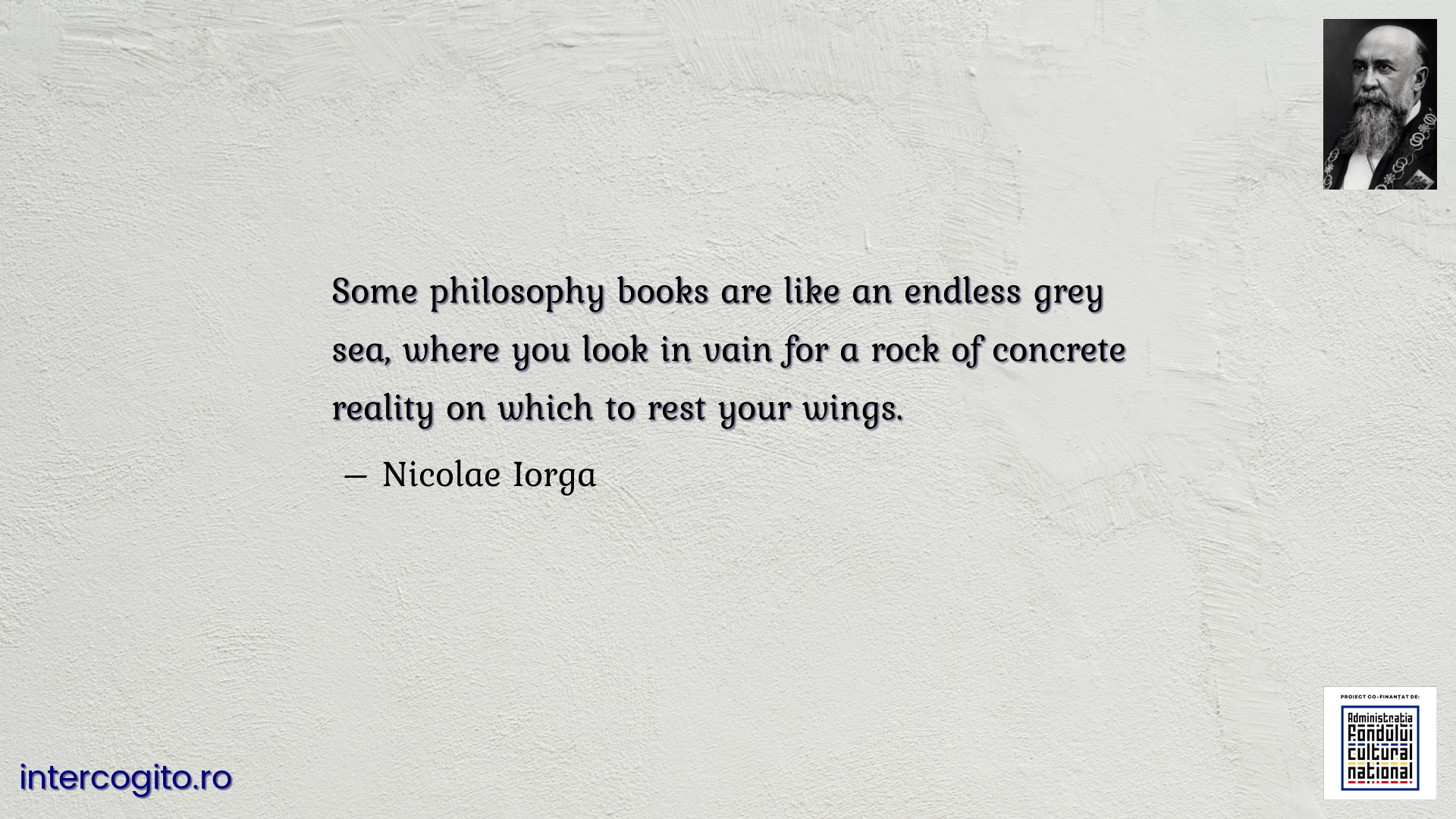 Some philosophy books are like an endless grey sea, where you look in vain for a rock of concrete reality on which to rest your wings.