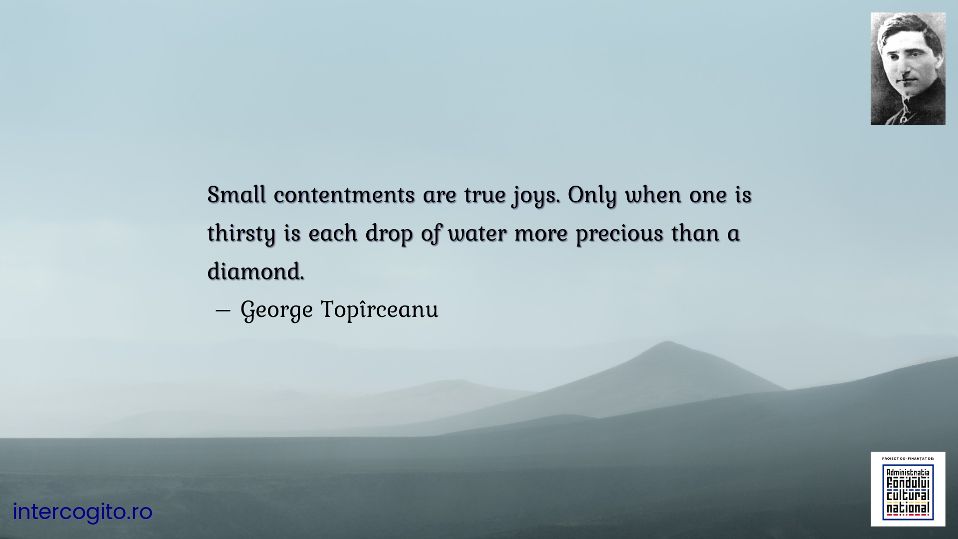 Small contentments are true joys. Only when one is thirsty is each drop of water more precious than a diamond.