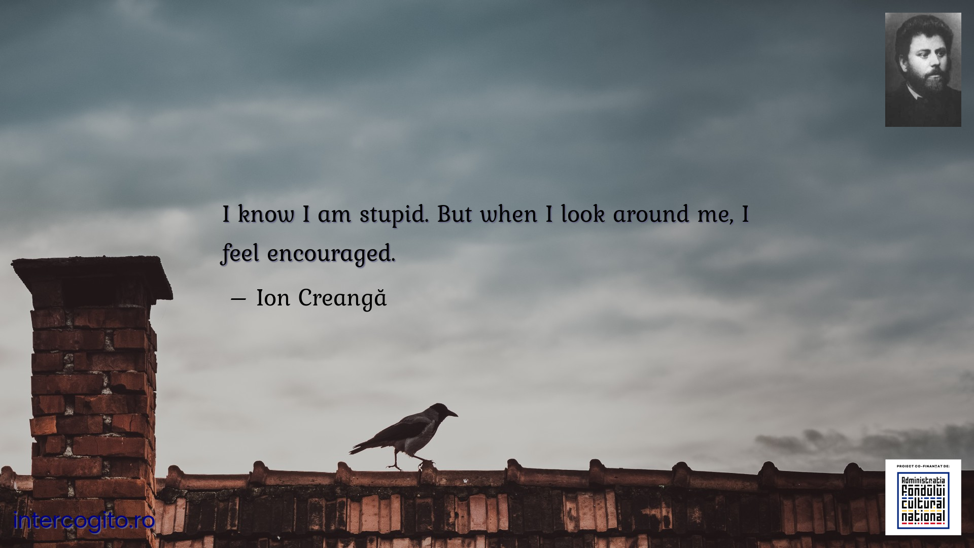 I know I am stupid. But when I look around me, I feel encouraged.