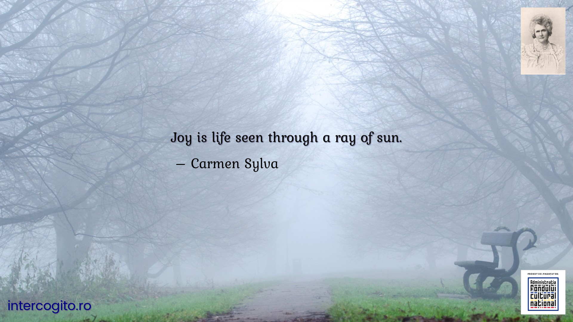 Joy is life seen through a ray of sun.