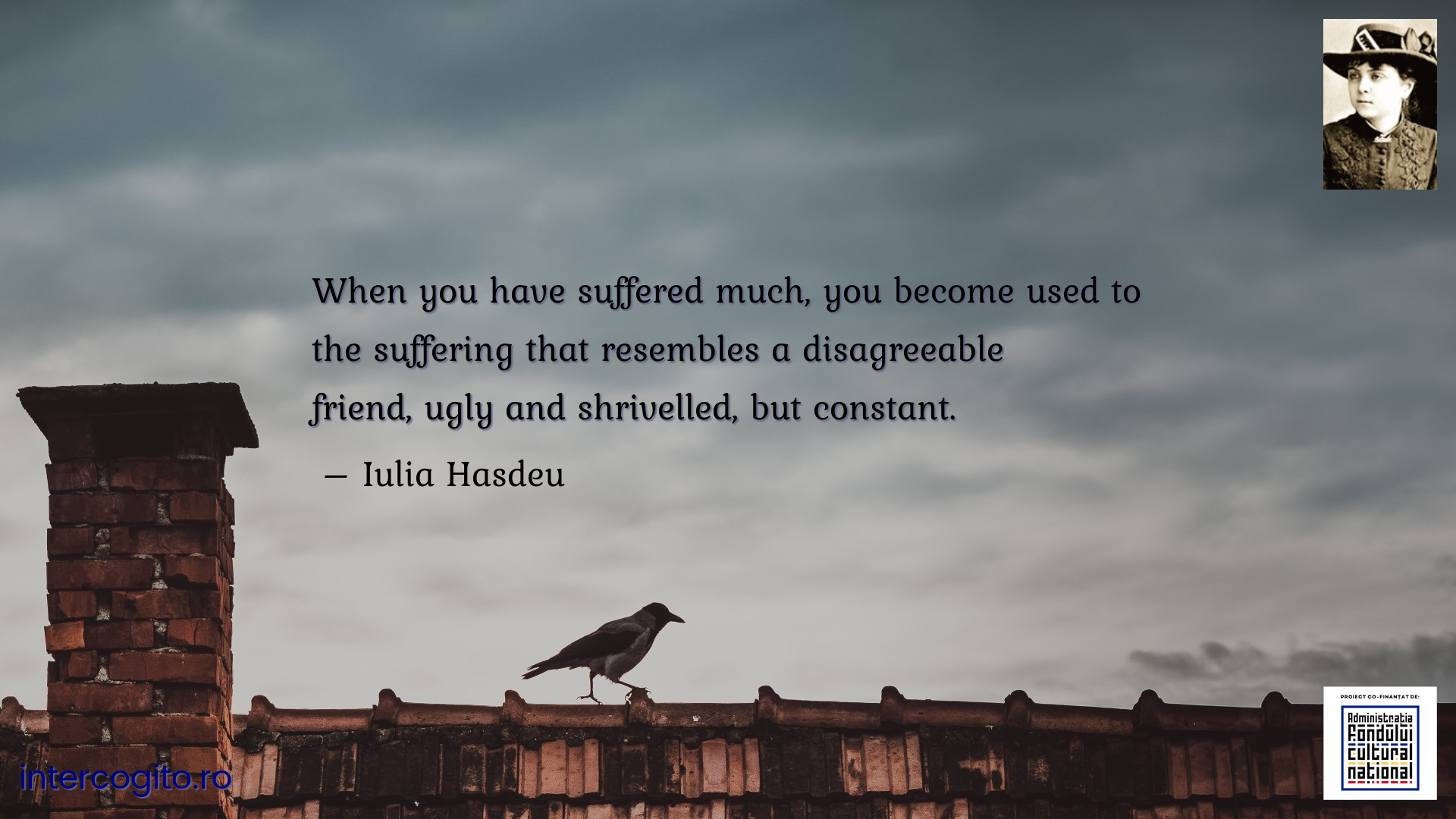When you have suffered much, you become used to the suffering that resembles a disagreeable friend, ugly and shrivelled, but constant.