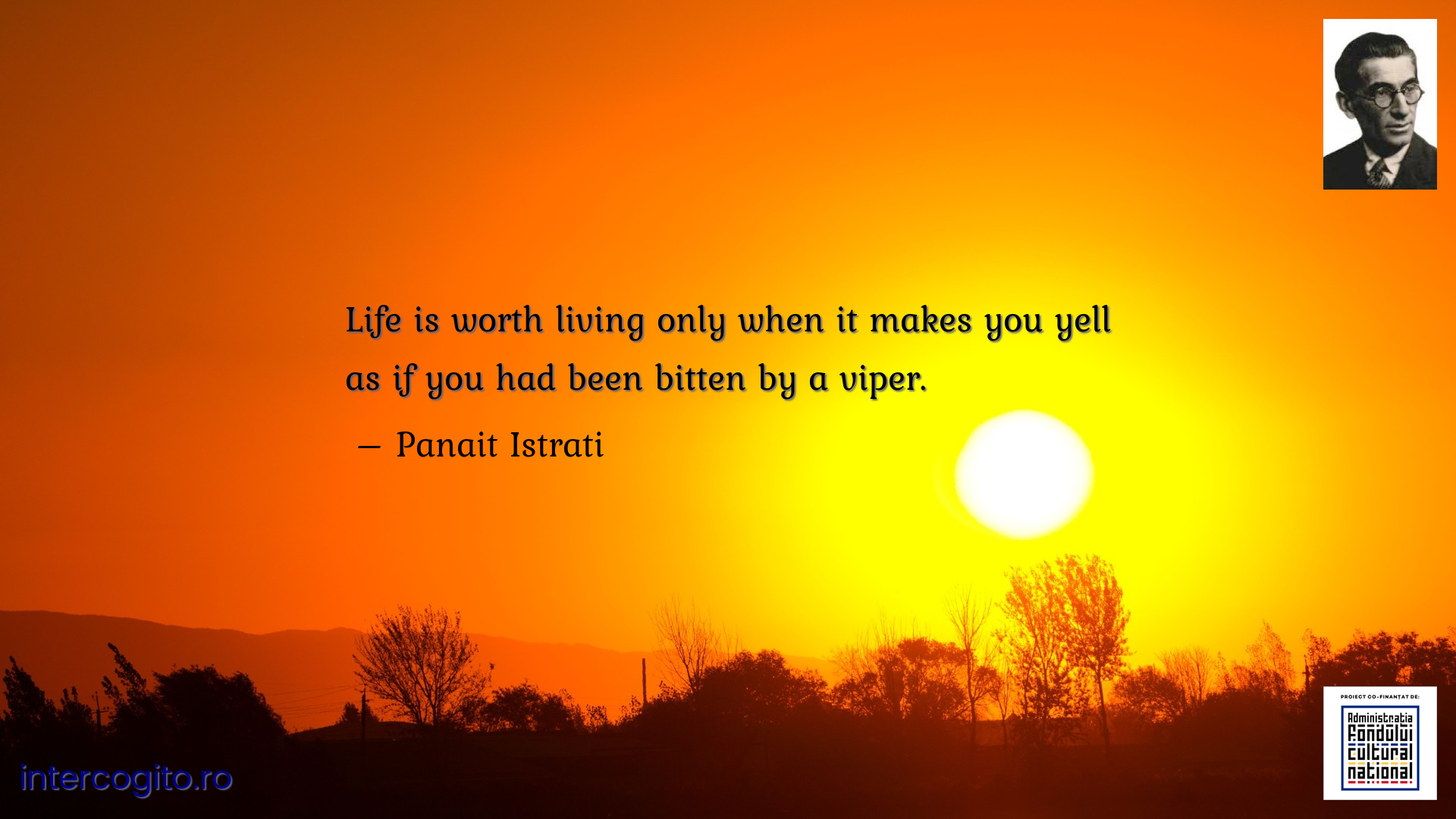 Life is worth living only when it makes you yell as if you had been bitten by a viper.