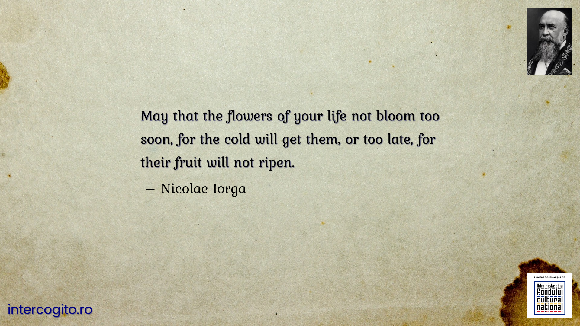 May that the flowers of your life not bloom too soon, for the cold will get them, or too late, for their fruit will not ripen.