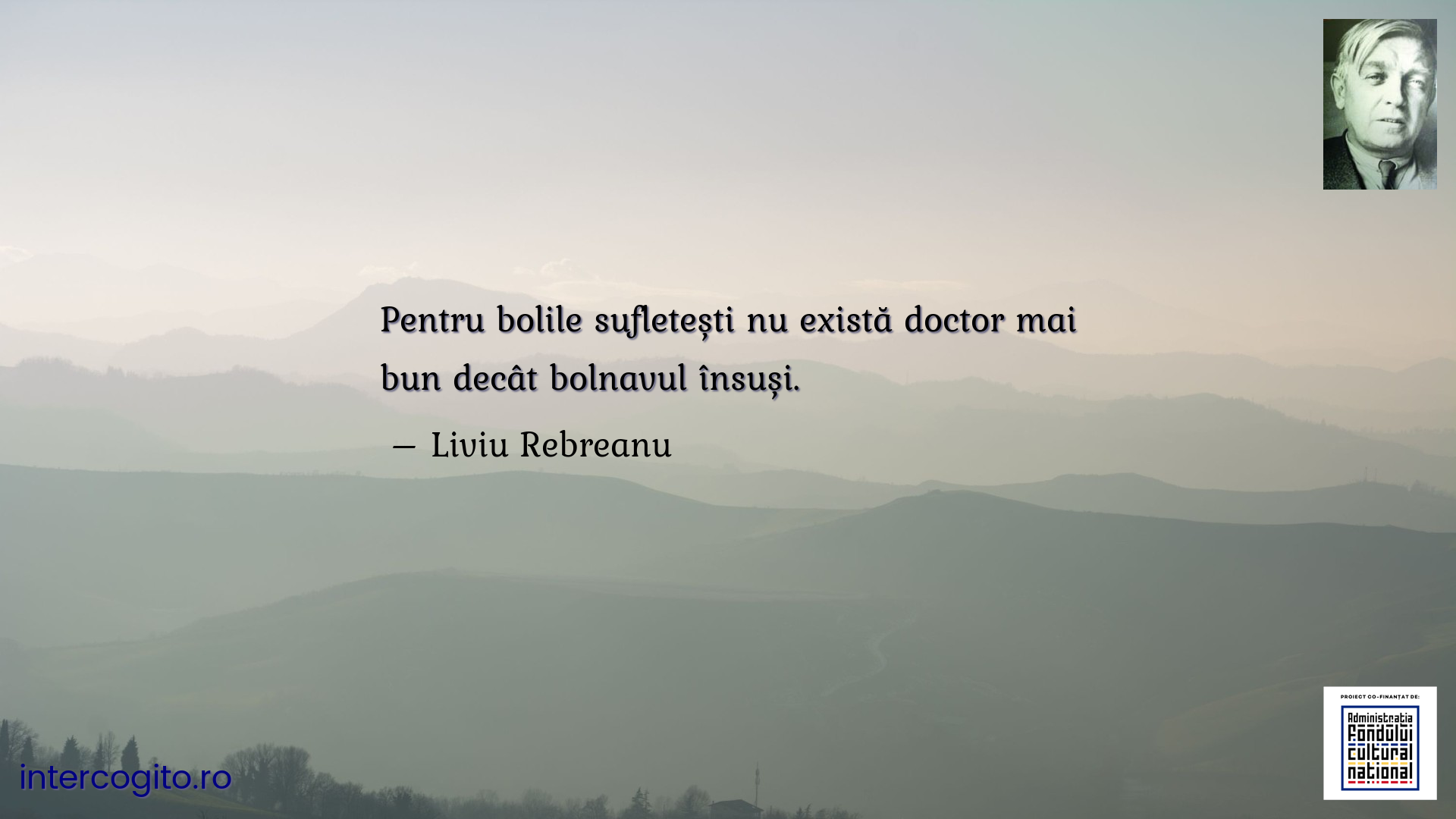 Pentru bolile sufletești nu există doctor mai bun decât bolnavul însuși.