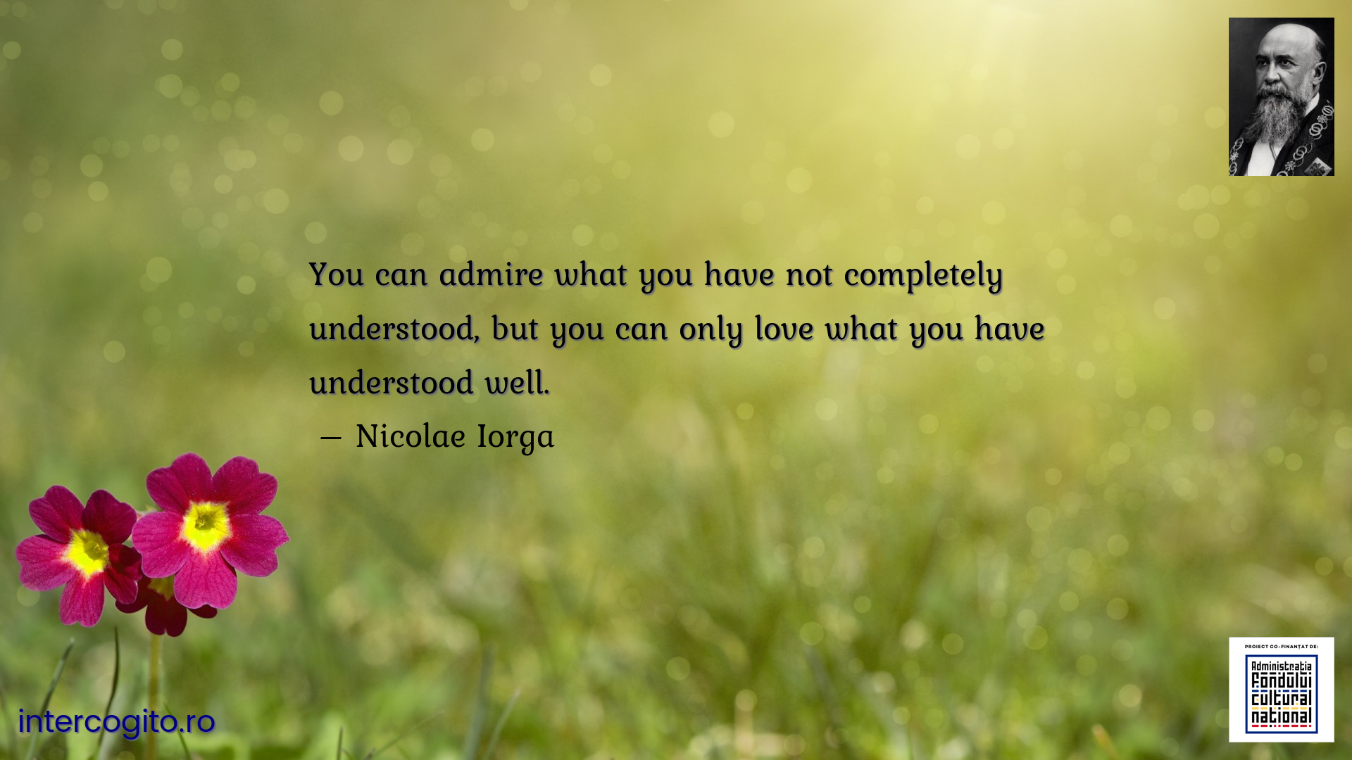 You can admire what you have not completely understood, but you can only love what you have understood well.