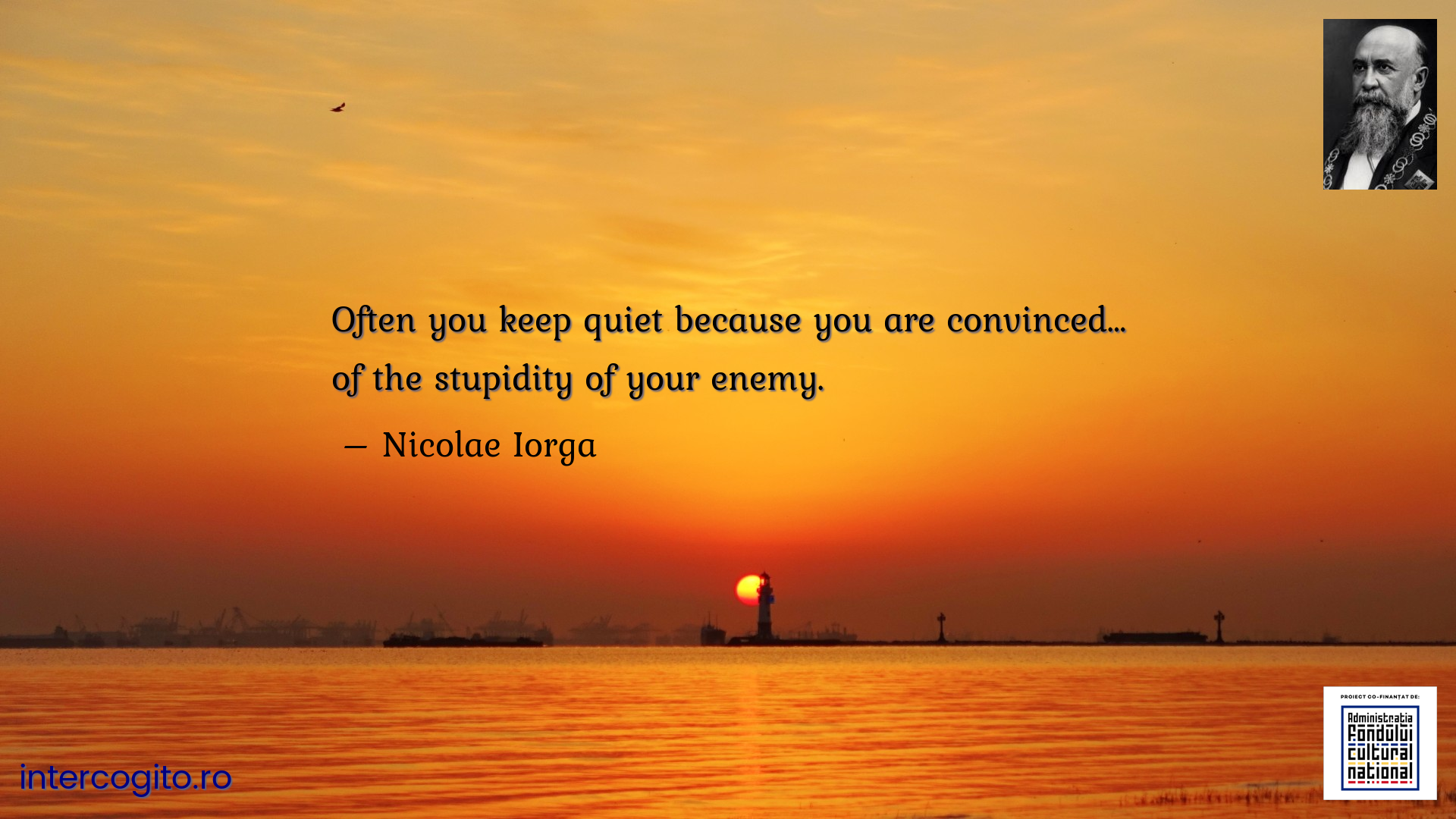 Often you keep quiet because you are convinced… of the stupidity of your enemy.