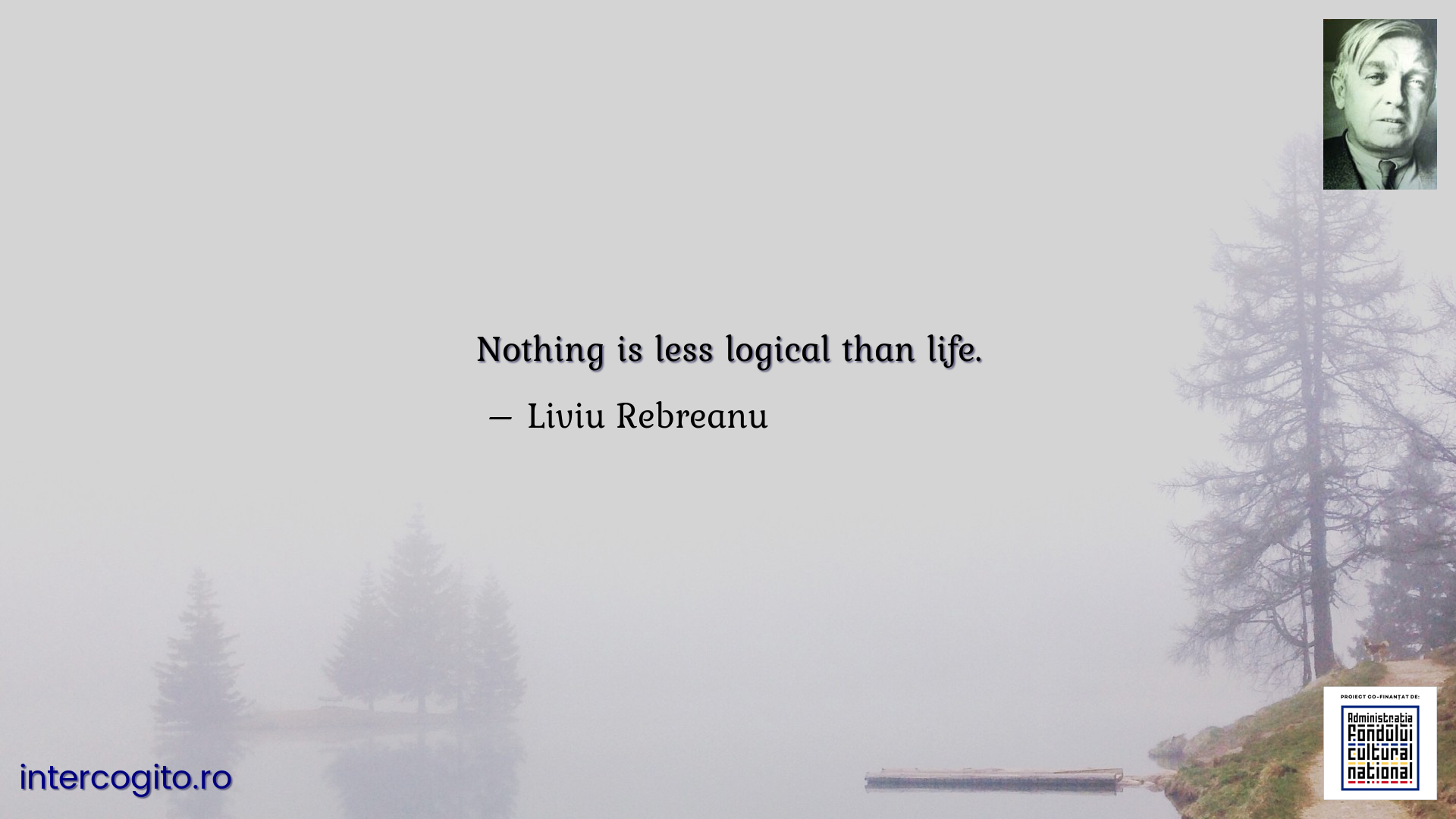 Nothing is less logical than life.