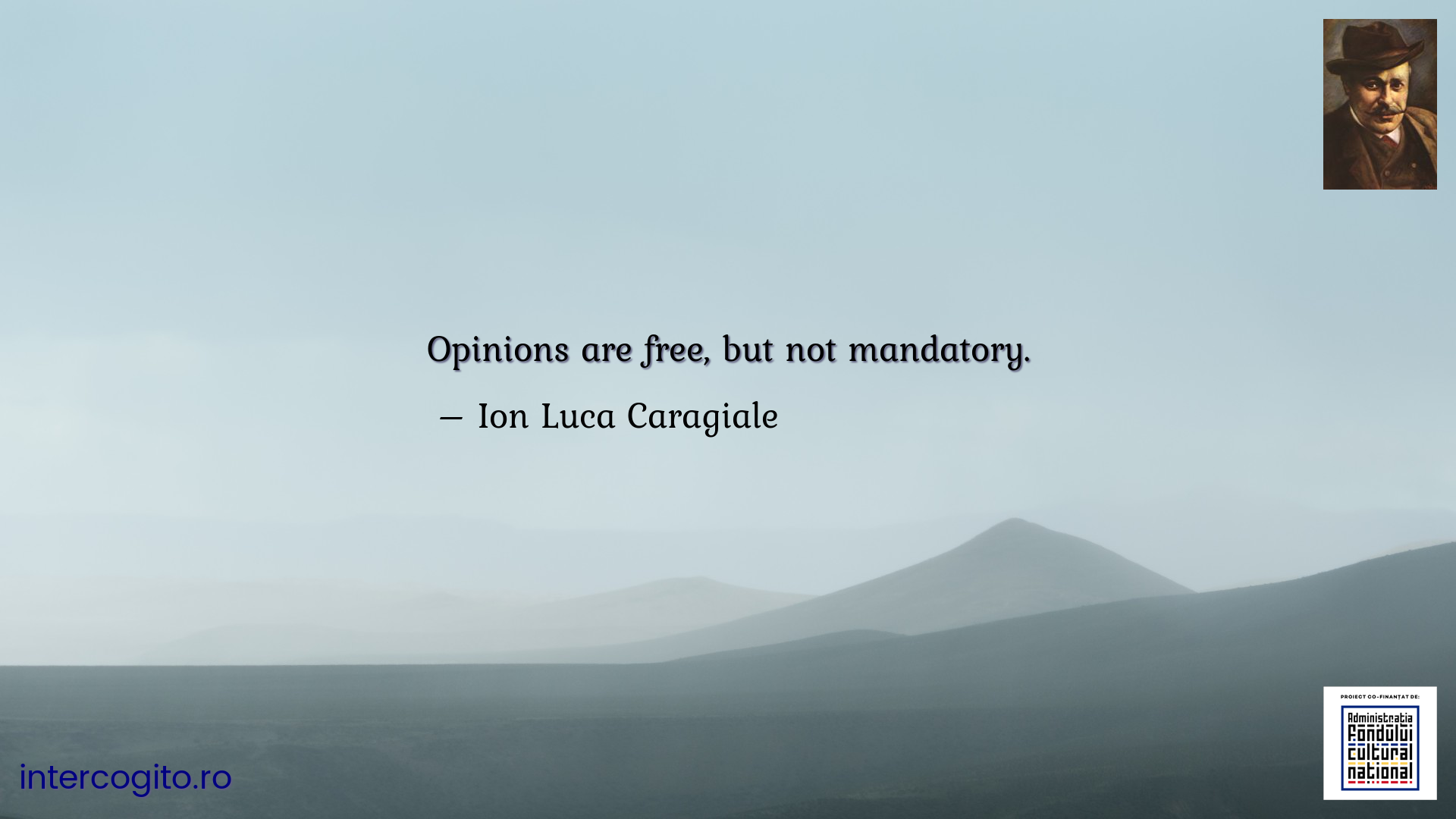 Opinions are free, but not mandatory.