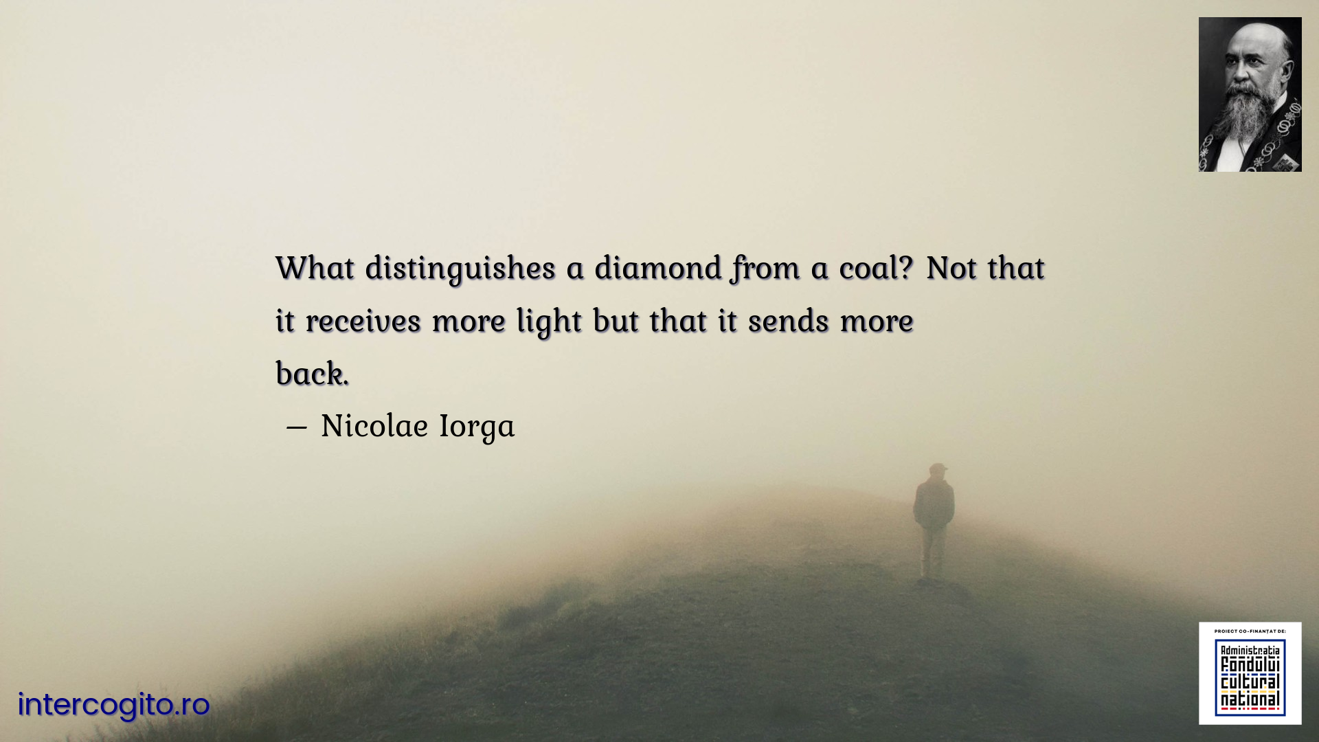 What distinguishes a diamond from a coal? Not that it receives more light but that it sends more back.