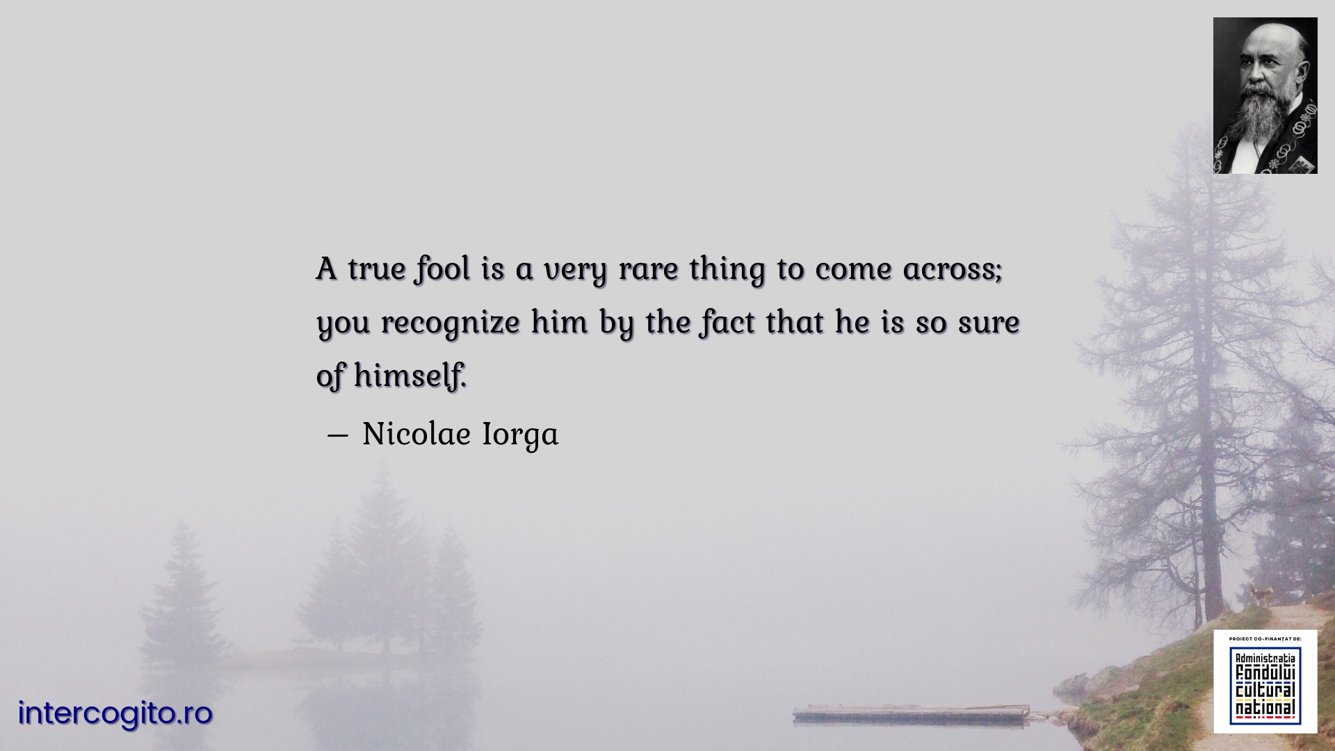 A true fool is a very rare thing to come across; you recognize him by the fact that he is so sure of himself.